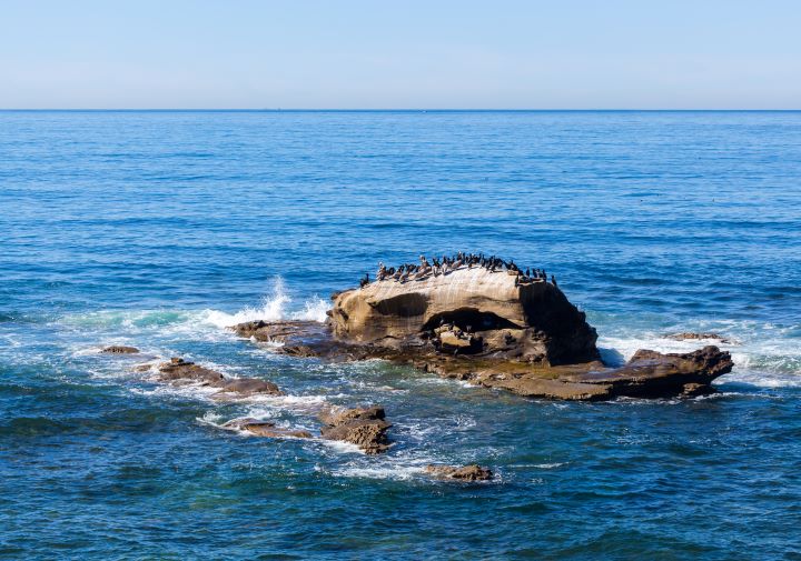 an exposed rock, surrounded by ocean, covered with seabirds